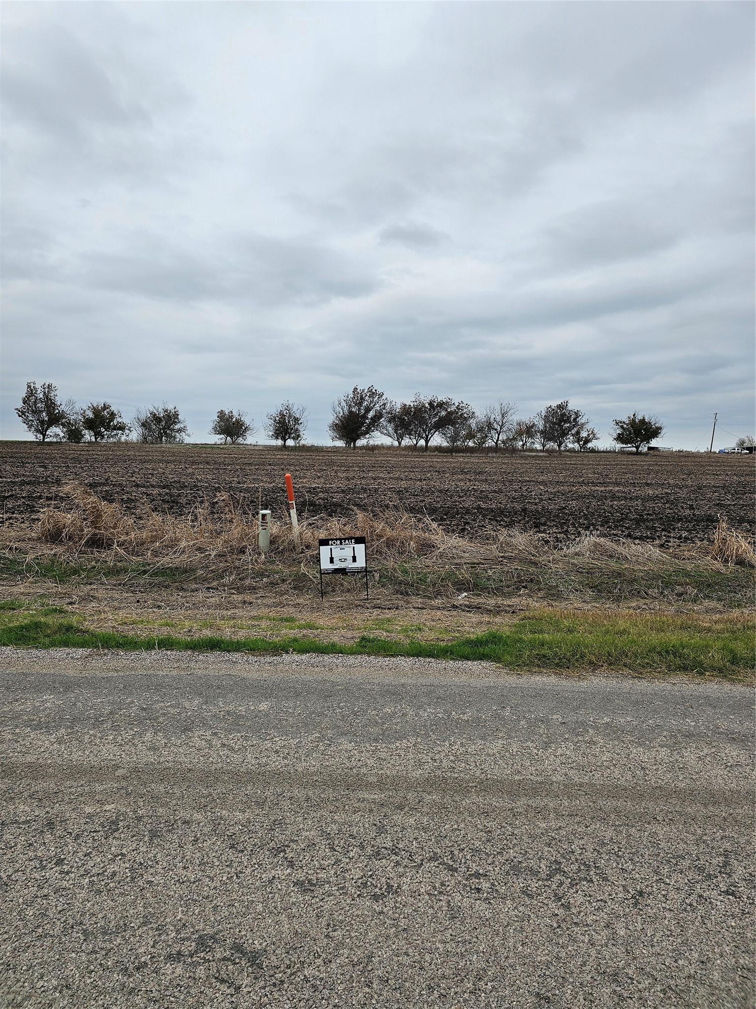 13000 Romberg Road Holland, TX 76534 - Photo 7 of 19