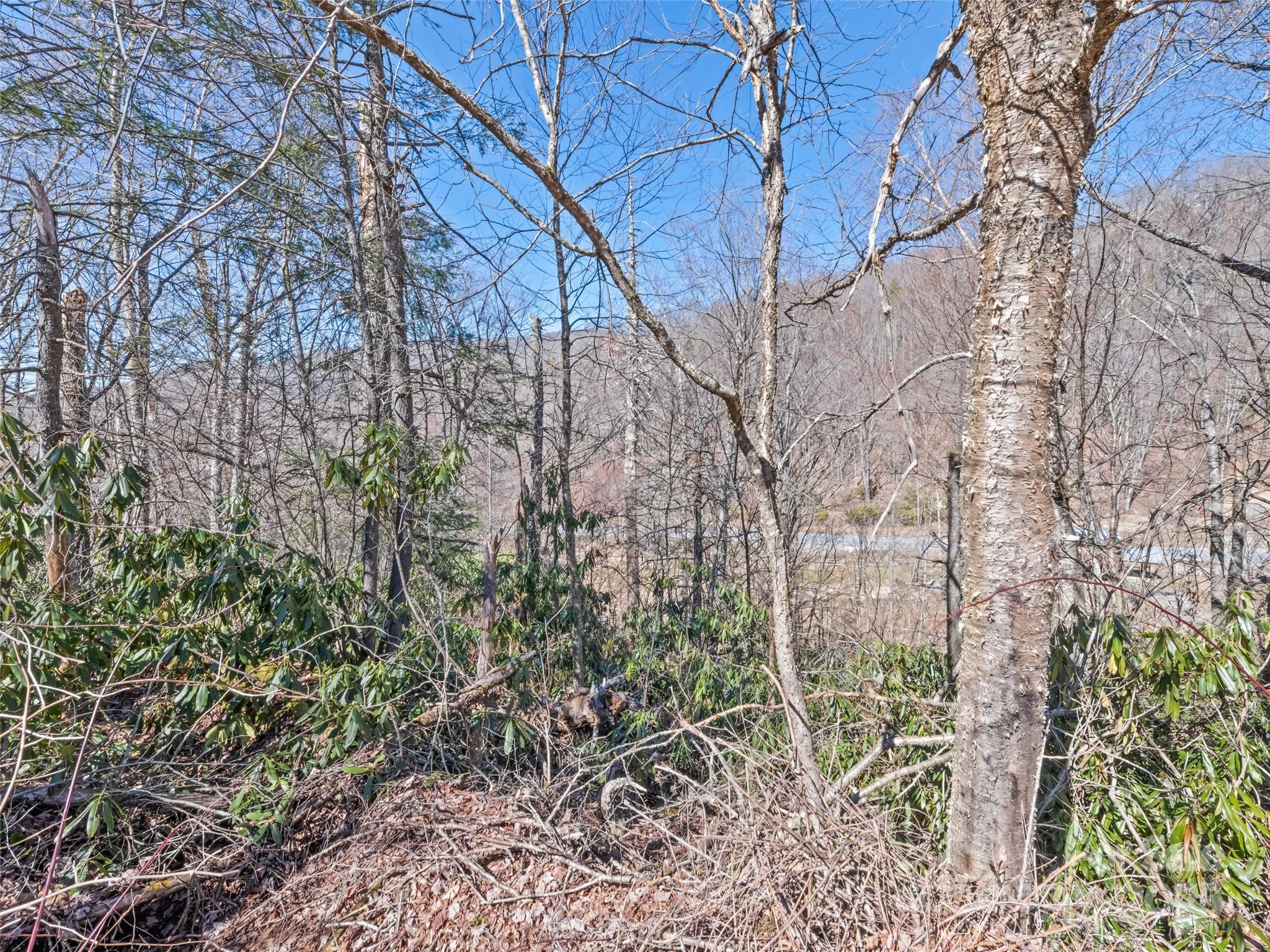 5-6 7 Spruce Flats Road Maggie Valley, NC 28751 - Photo 11 of 12 a backyard of a house with lots of green space