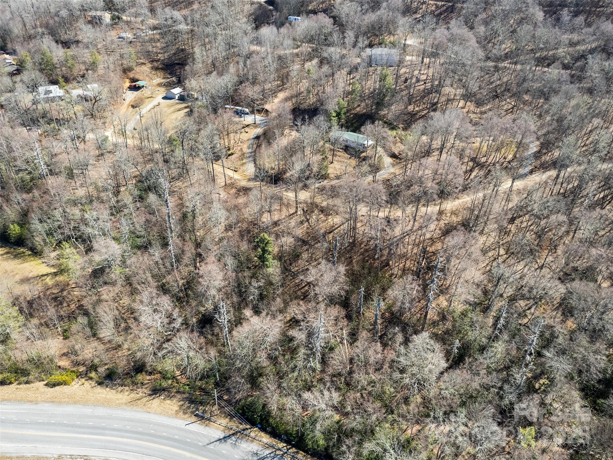 5-6 7 Spruce Flats Road Maggie Valley, NC 28751 - Photo 2 of 12 a view of a yard with a tree