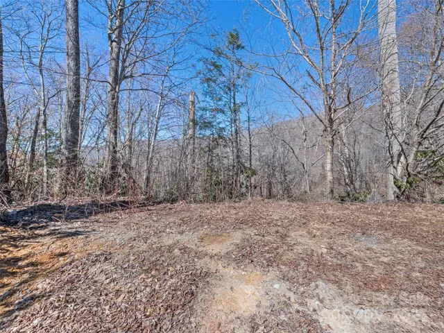 a view of a yard with trees