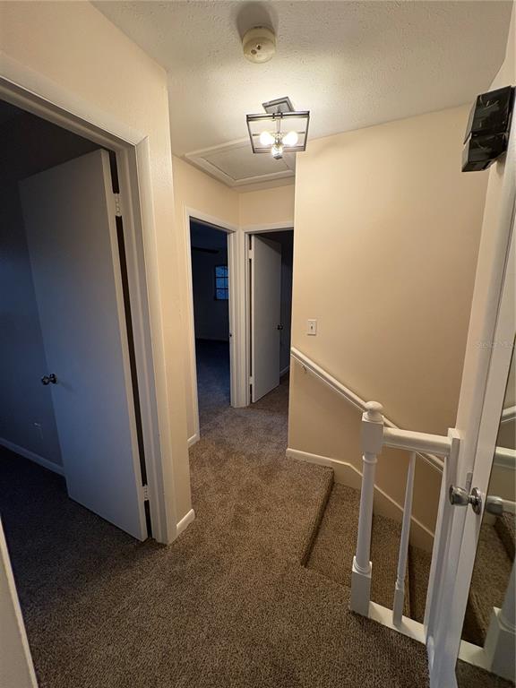 5107 East 120th Avenue Temple Terrace, FL 33617 - Photo 16 of 24 Gallery Image 16