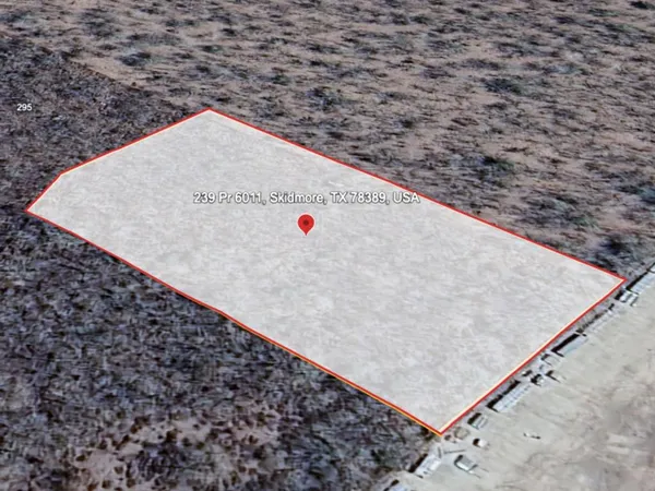 view of a dry ground with large tree