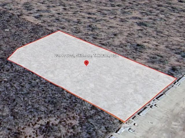 view of a dry ground with large tree