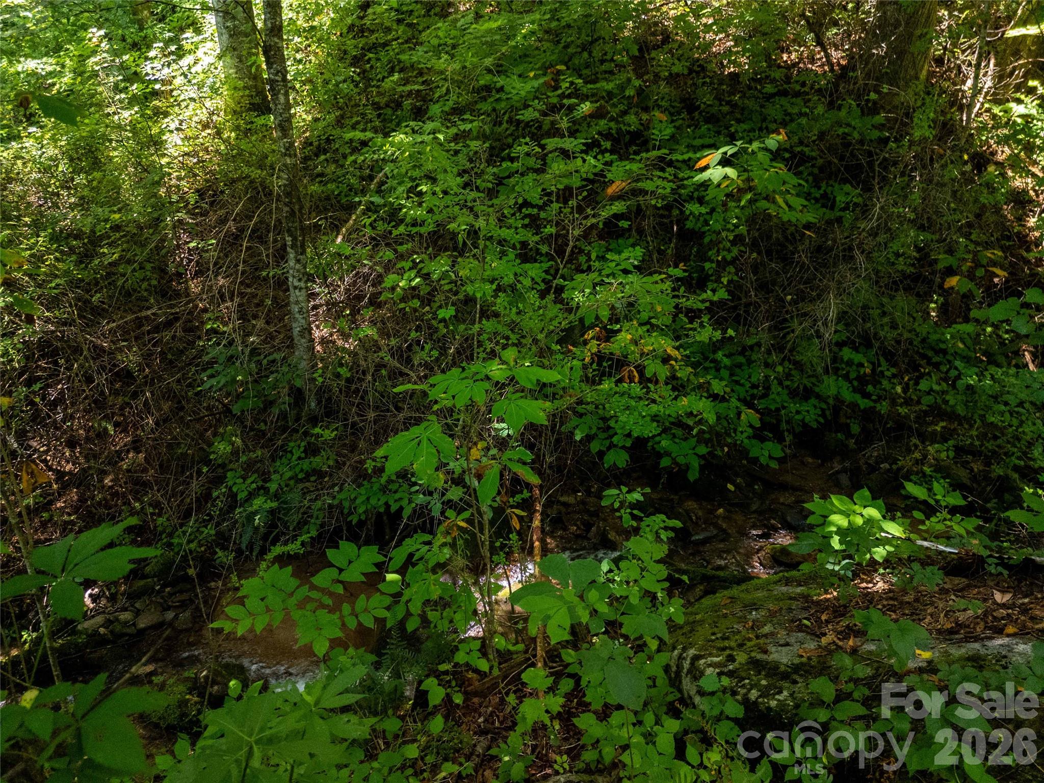 1249 Monteith Branch Road Sylva, NC 28779 - Photo 7 of 24 Gallery Image 7