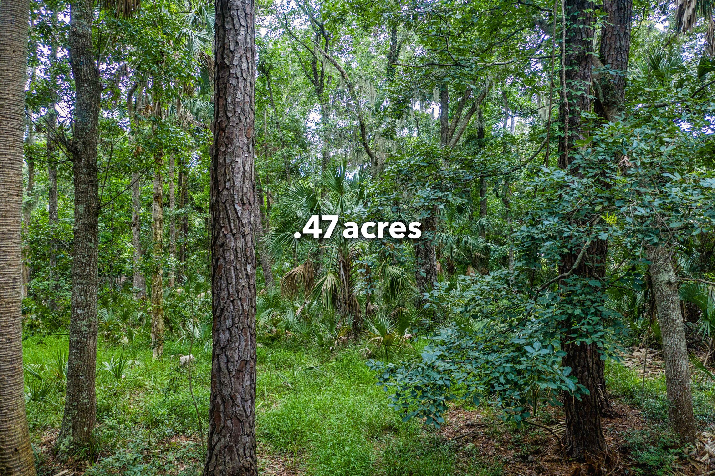 2845 Captain Sams Road Johns Island, SC 29455 - Photo 2 of 26 2845-1