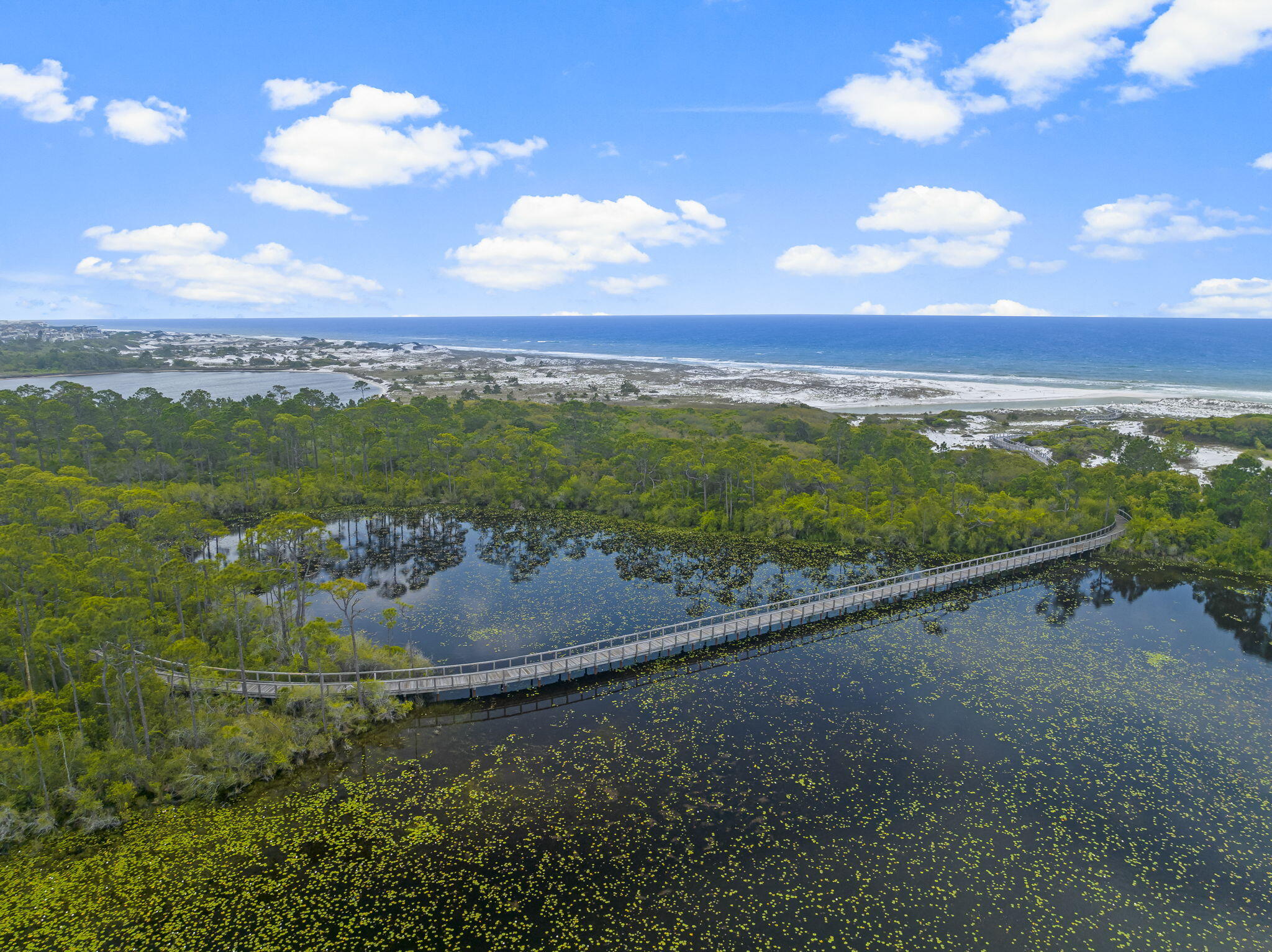 11 Blue Moon Lane Santa Rosa Beach, FL 32459 - Photo 20 of 21 Boardwalk To Beach1