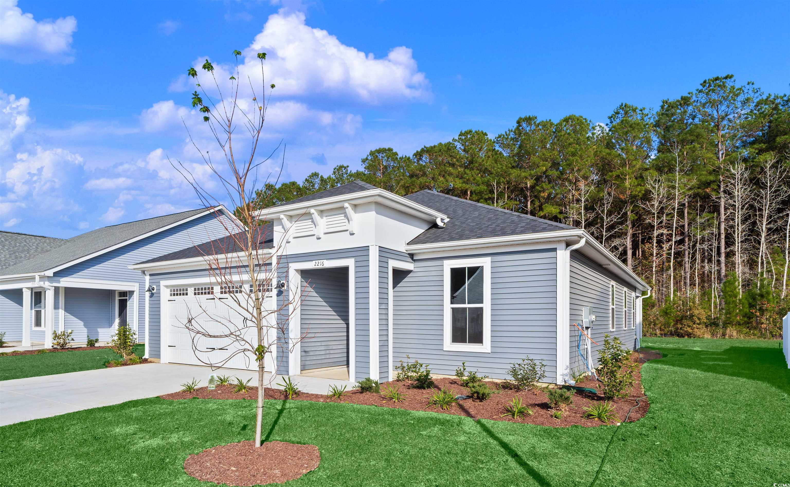 2216 Flatleaf Court Longs, SC 29568 - Photo 4 of 35