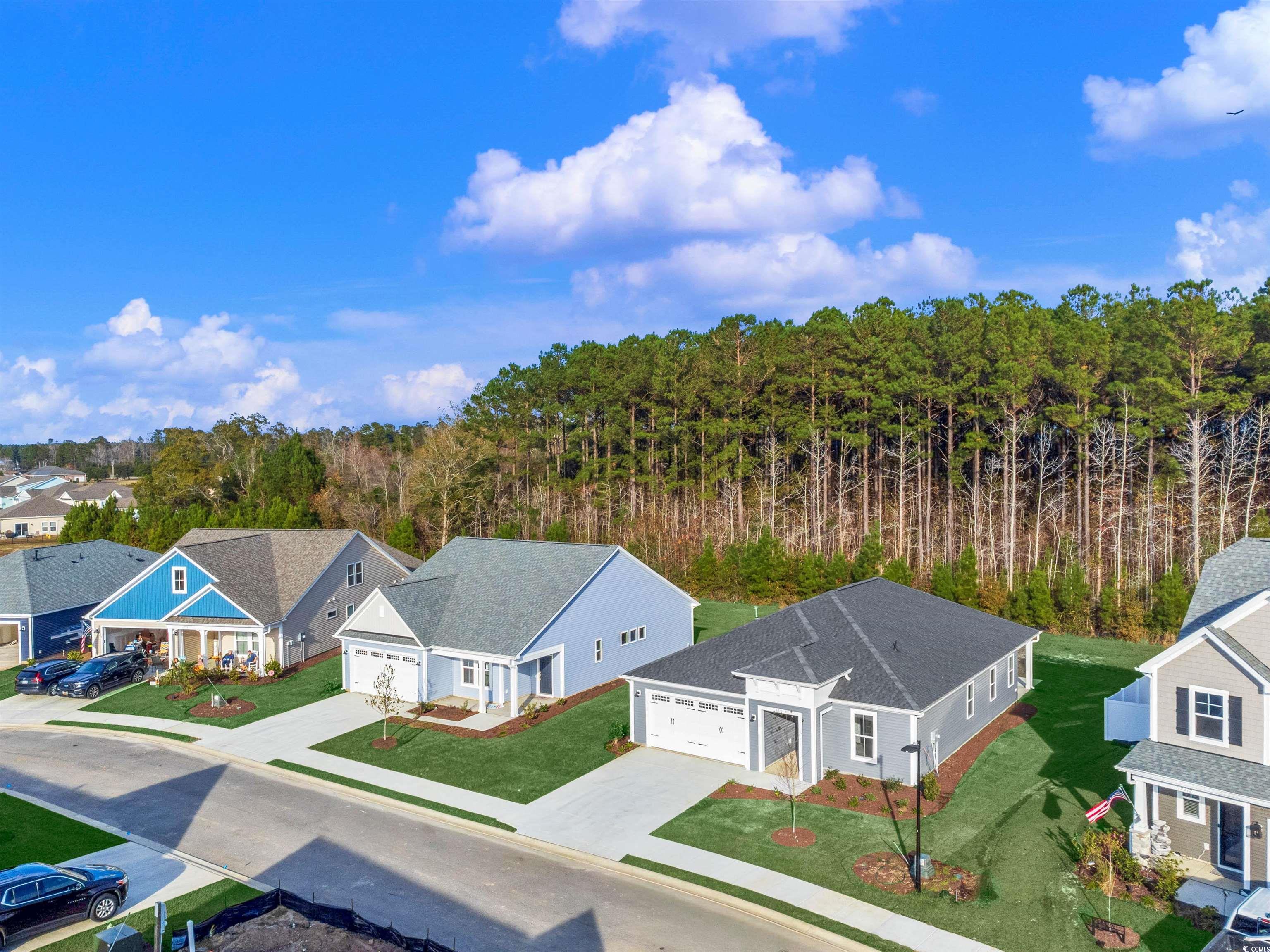 2216 Flatleaf Court Longs, SC 29568 - Photo 5 of 35
