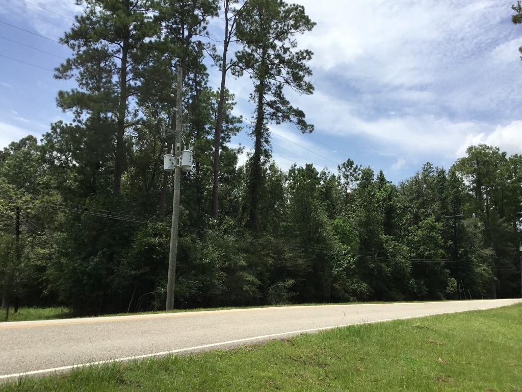 Tbd Echo Lane Huffman, TX 77336 - Photo 2 of 8