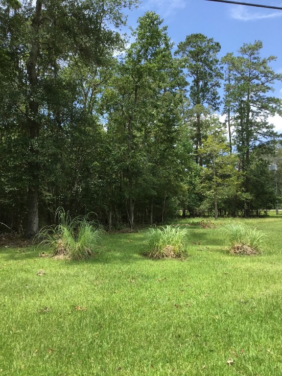 Tbd Echo Lane Huffman, TX 77336 - Photo 3 of 8