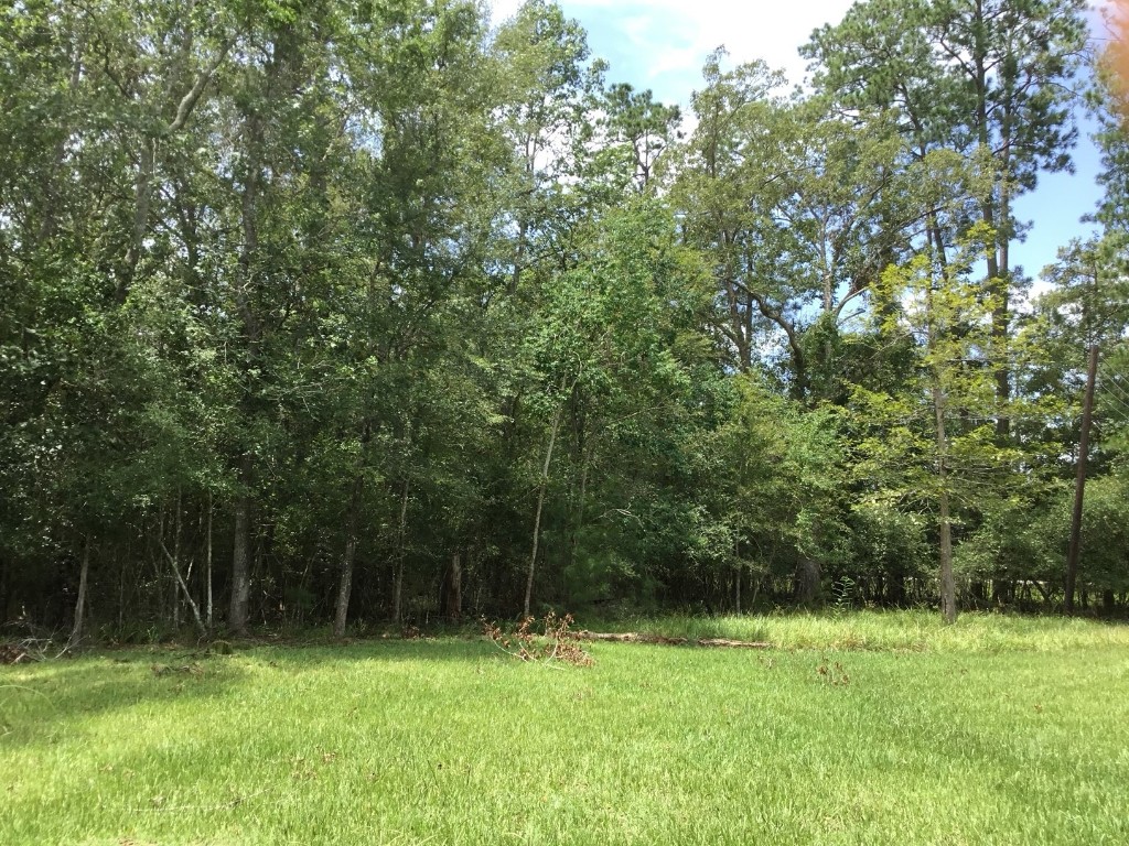 Tbd Echo Lane Huffman, TX 77336 - Photo 4 of 8