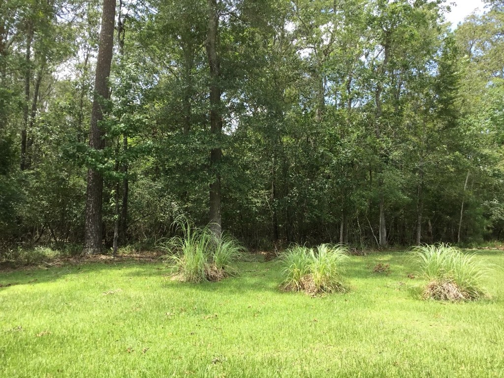 Tbd Echo Lane Huffman, TX 77336 - Photo 5 of 8