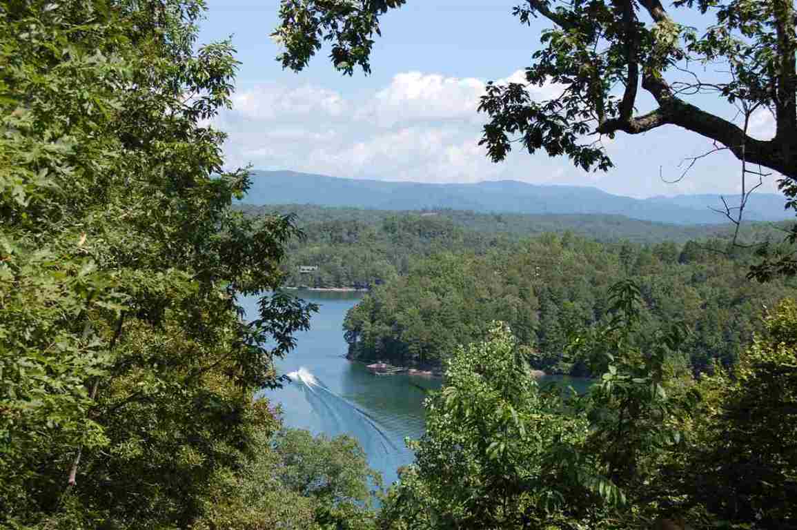 816 Top Ridge Drive, Unit LOT F59 Sunset, SC 29685 - Photo 3 of 32
