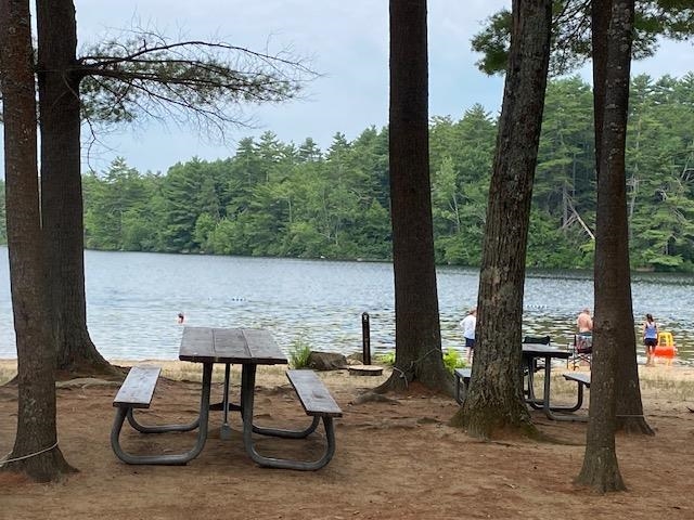 117 Mountain Road Nottingham, NH 03290 - Photo 30 of 40