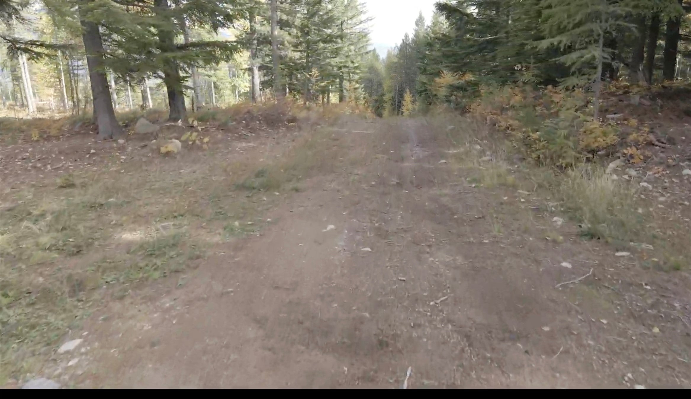 105 Highland Meadows Road Whitefish, MT 59937 - Photo 15 of 17 Gallery Image 15