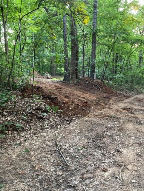 359 County Road 4 Calhoun, TN 37309 - Photo 4 of 7 20250714121240326322000000-o