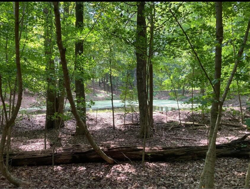 359 County Road 4 Calhoun, TN 37309 - Photo 5 of 7 20250714121119454859000000-o