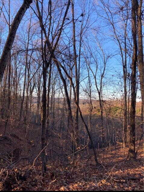 359 County Road 4 Calhoun, TN 37309 - Photo 7 of 7 20250714121247170044000000-o