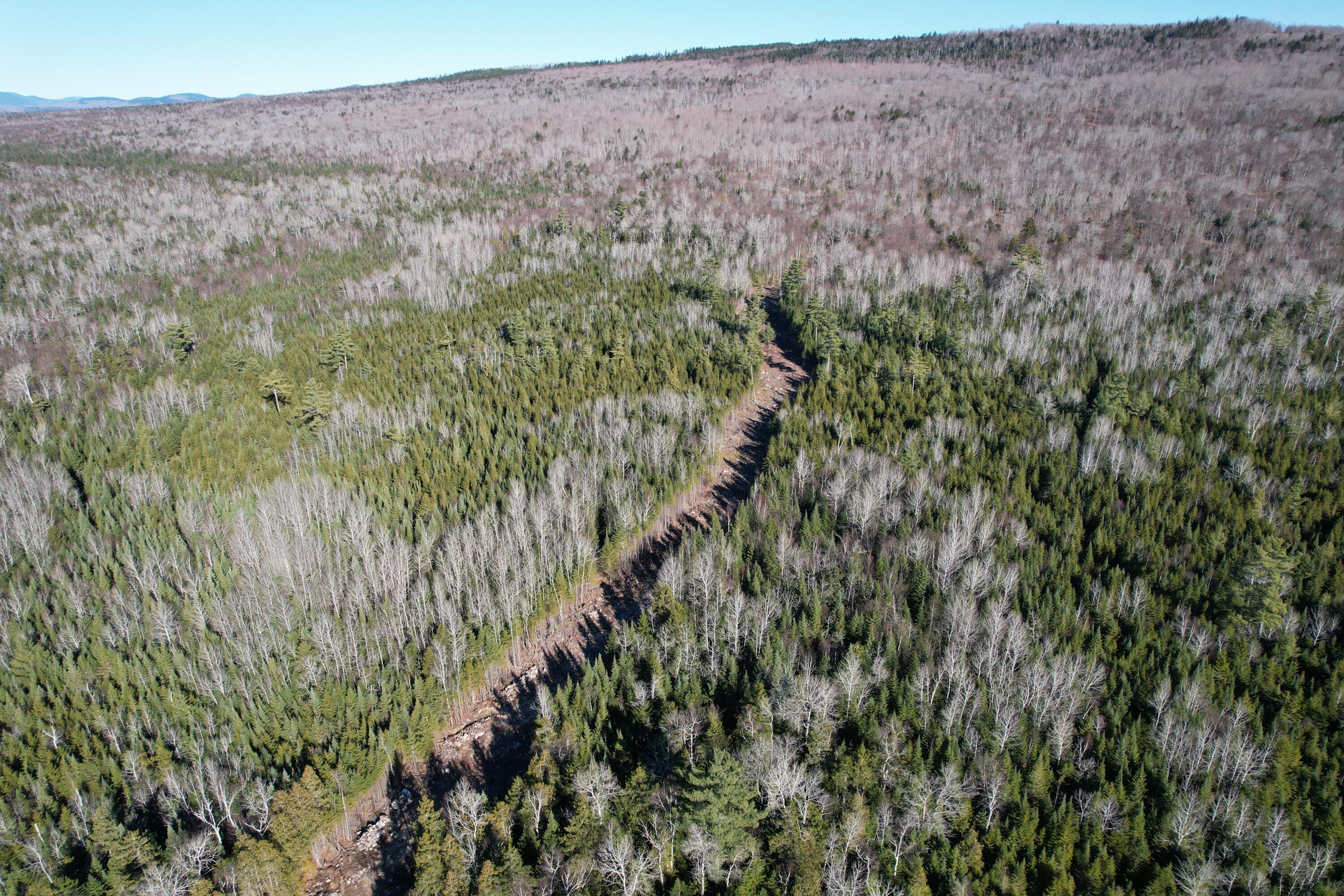 Lot 31-2 Bemis Road Oquossoc, ME 04964 - Photo 13 of 22 driveway