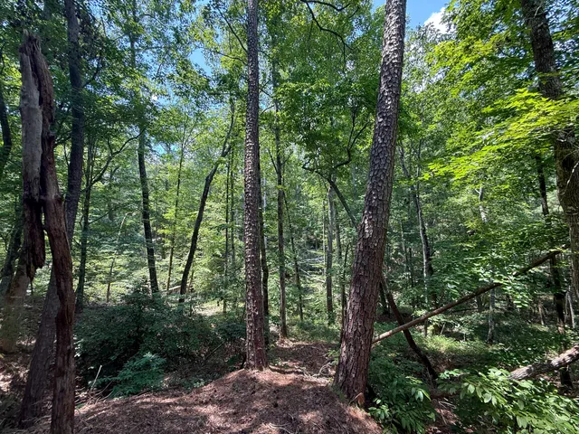 $849,150 | 0 Buckhead Road, Blair, SC 29015