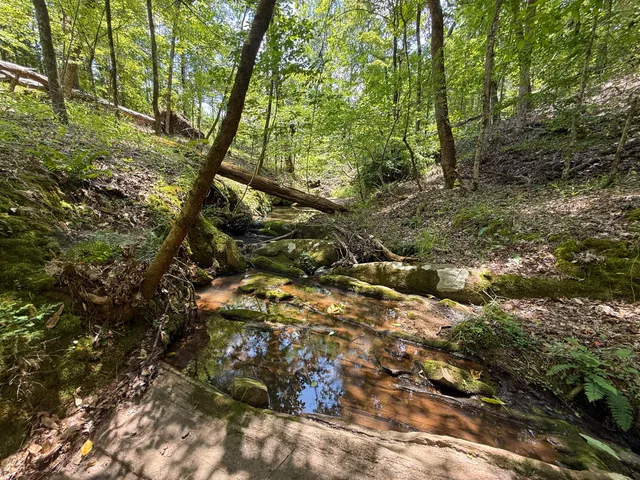 $849,150 | 0 Buckhead Road, Blair, SC 29015