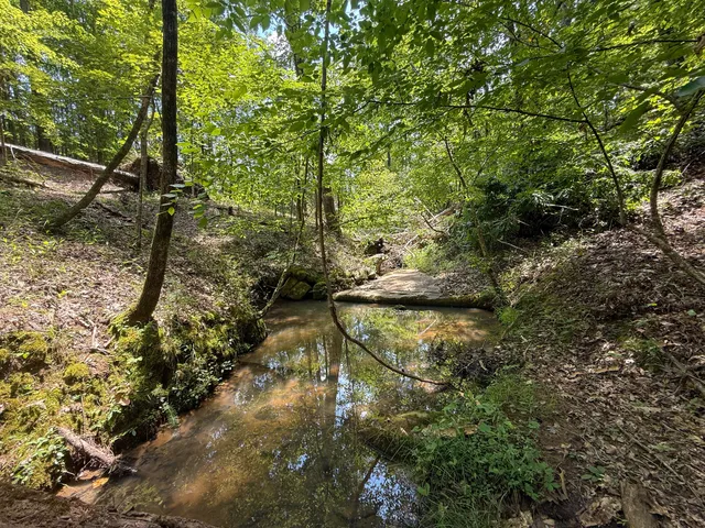 $849,150 | 0 Buckhead Road, Blair, SC 29015