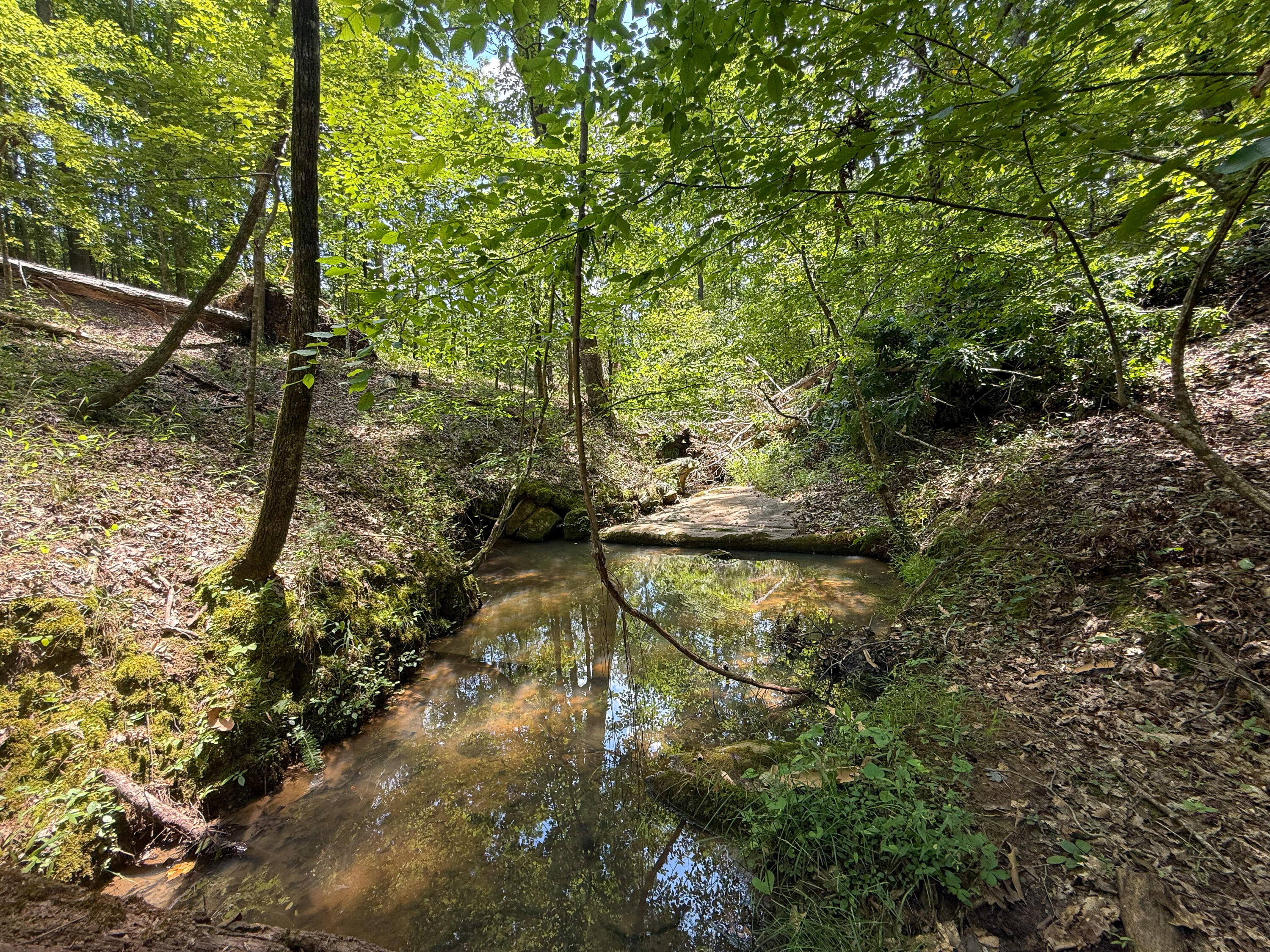 0 Buckhead Road Blair, SC 29015 - Photo 14 of 29 Compass South Land Sales Buckhead Road-1