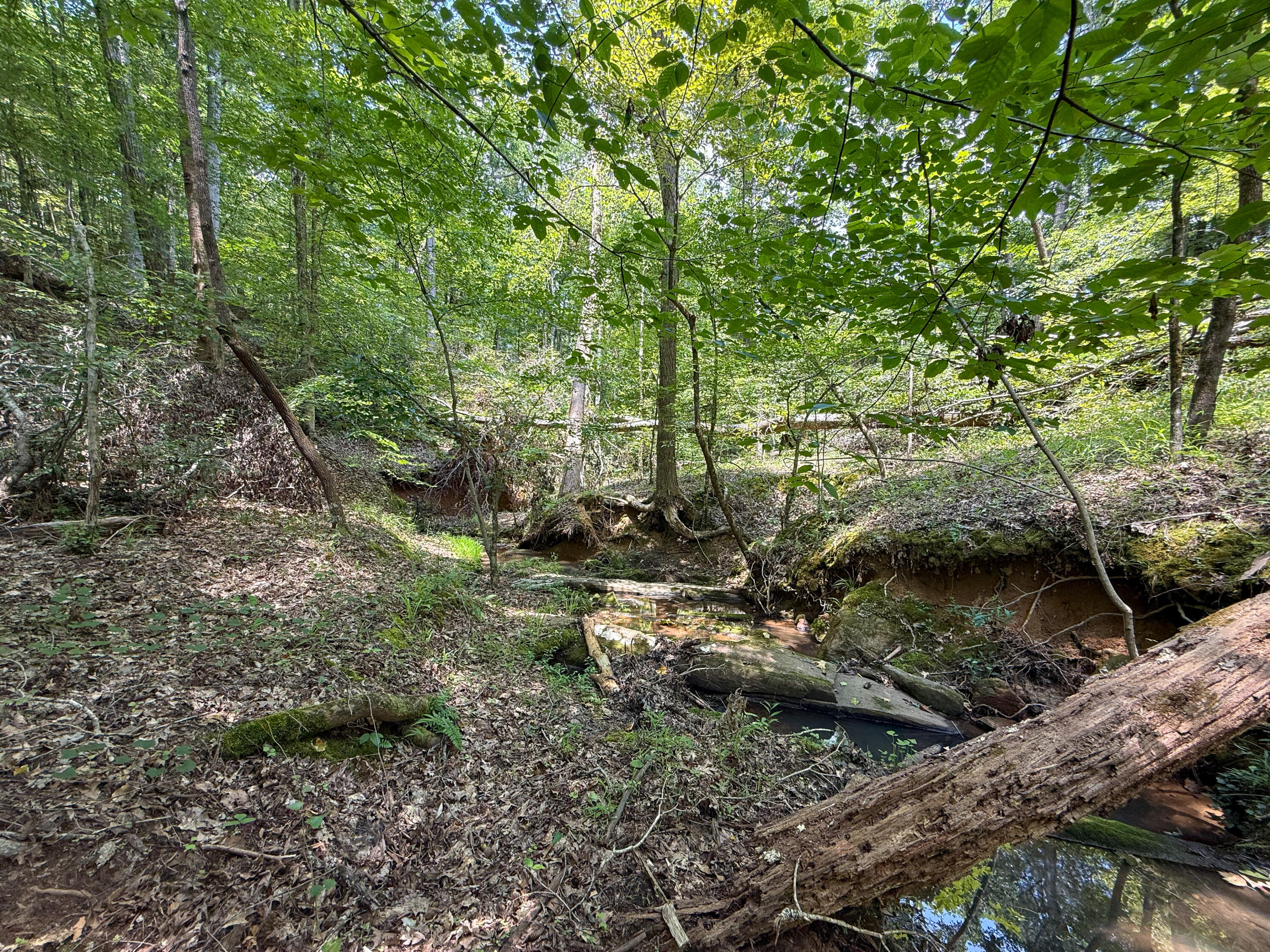 0 Buckhead Road Blair, SC 29015 - Photo 15 of 29 Compass South Land Sales Buckhead Road-1