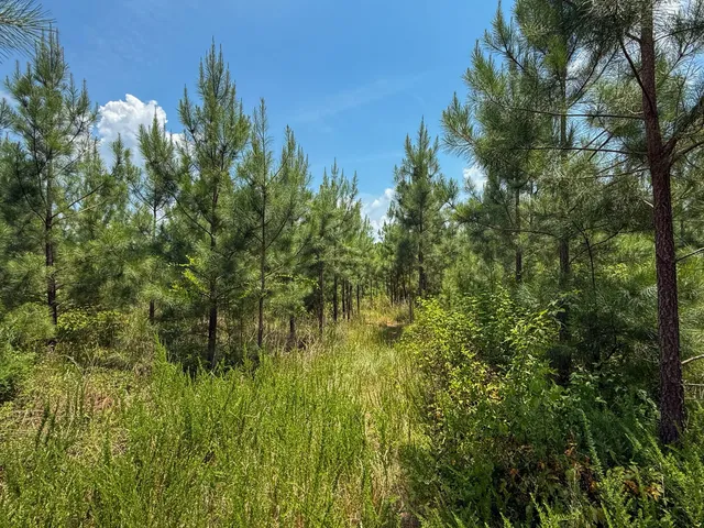 $849,150 | 0 Buckhead Road, Blair, SC 29015