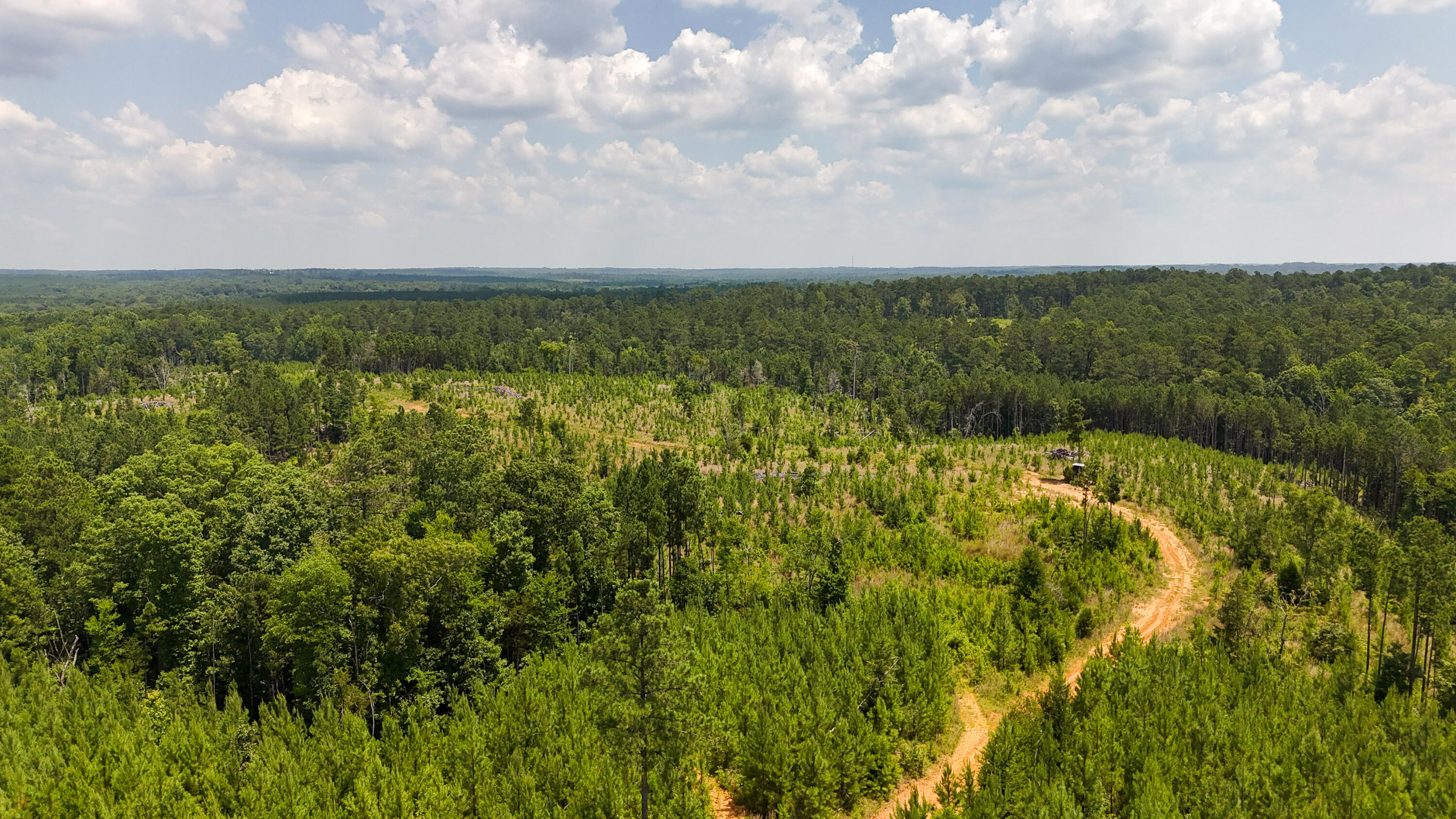 0 Buckhead Road Blair, SC 29015 - Photo 18 of 29 Compass South Land Sales Buckhead Road-1