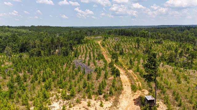 $849,150 | 0 Buckhead Road, Blair, SC 29015