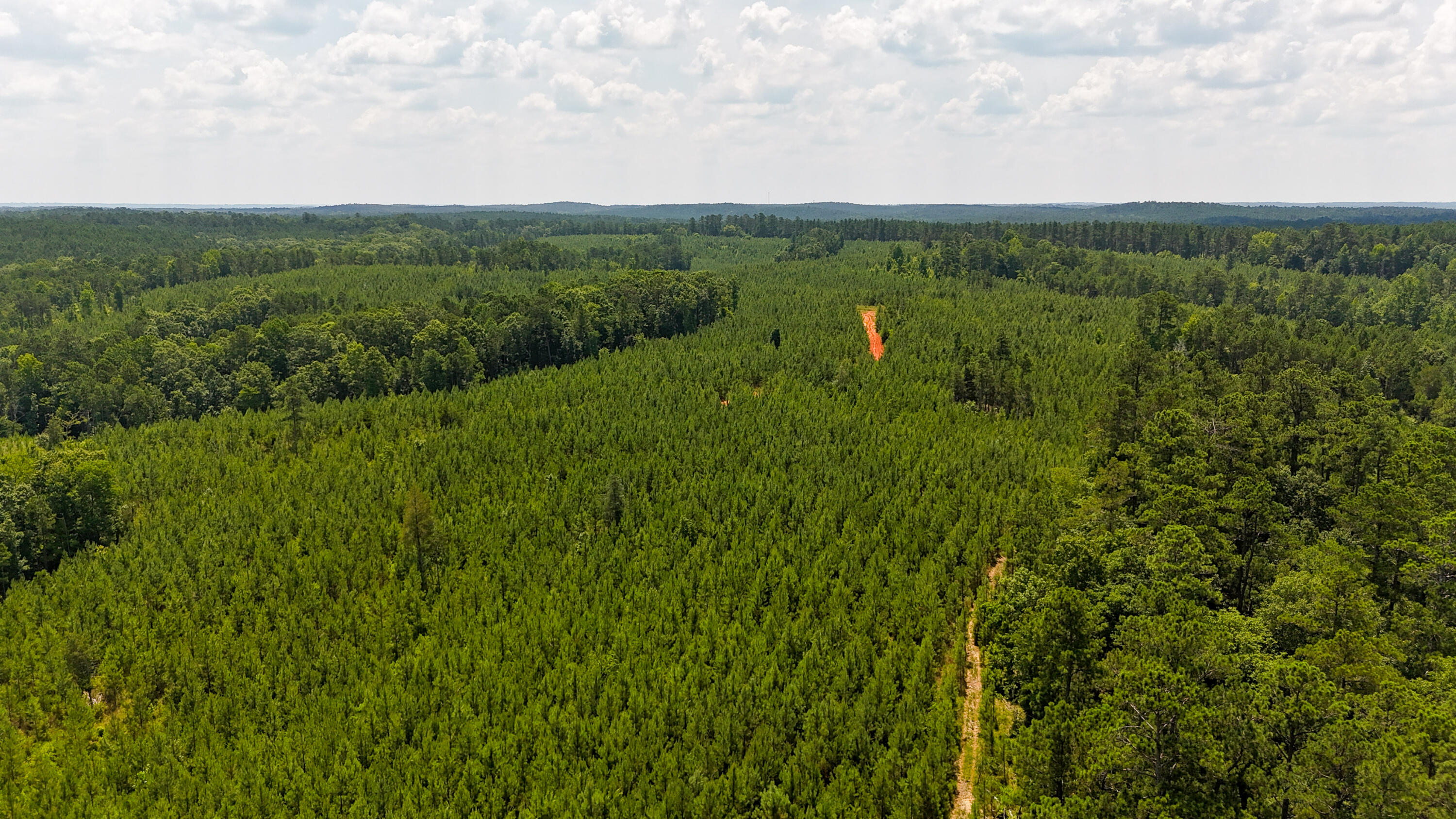 0 Buckhead Road Blair, SC 29015 - Photo 20 of 29 Compass South Land Sales Buckhead Road-2