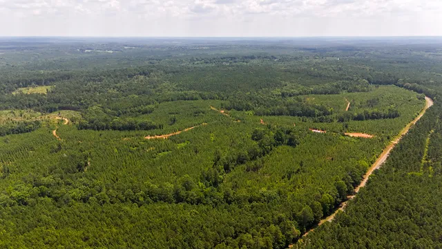 $849,150 | 0 Buckhead Road, Blair, SC 29015