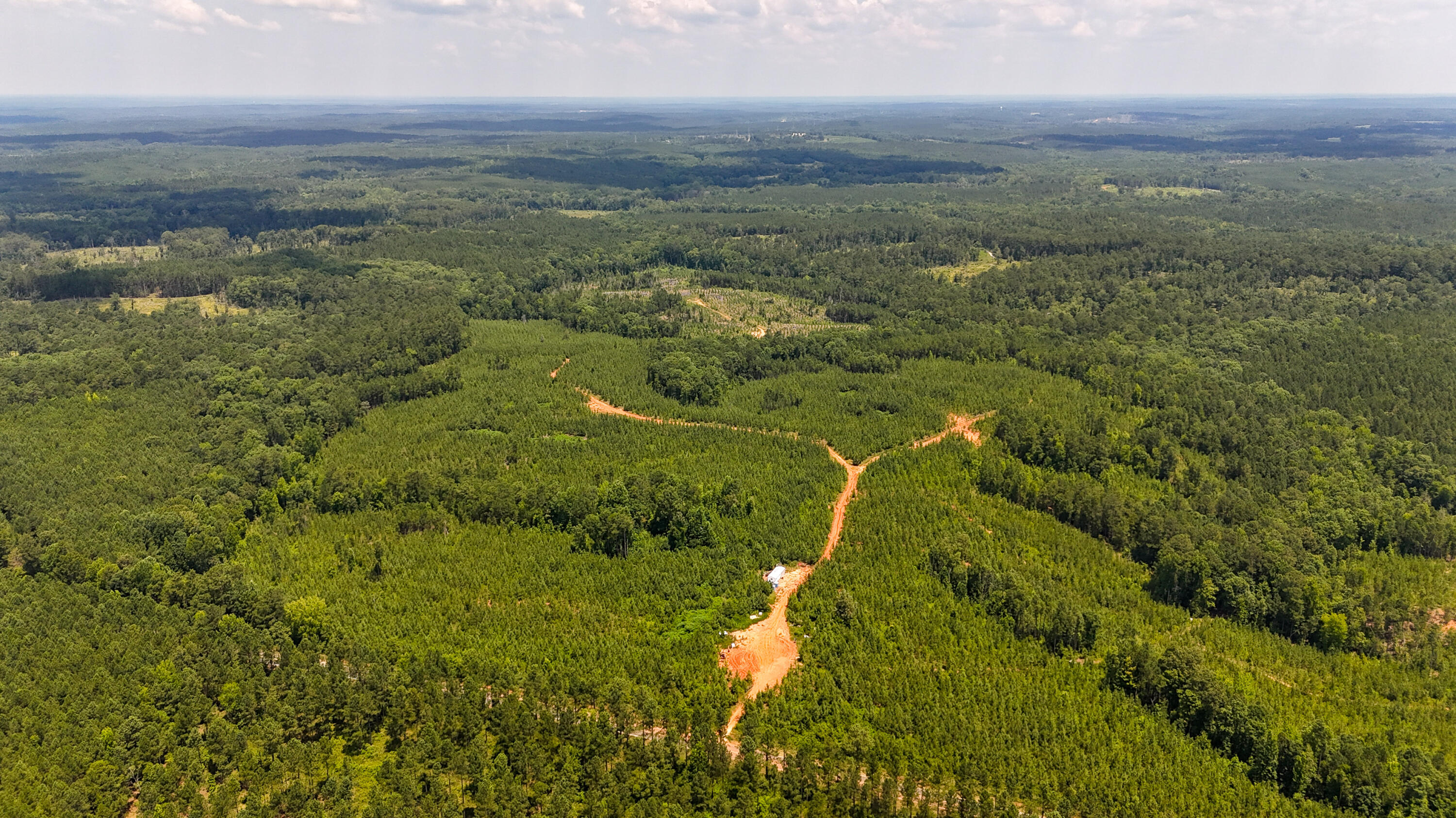 0 Buckhead Road Blair, SC 29015 - Photo 22 of 29 Compass South Land Sales Buckhead Road-2