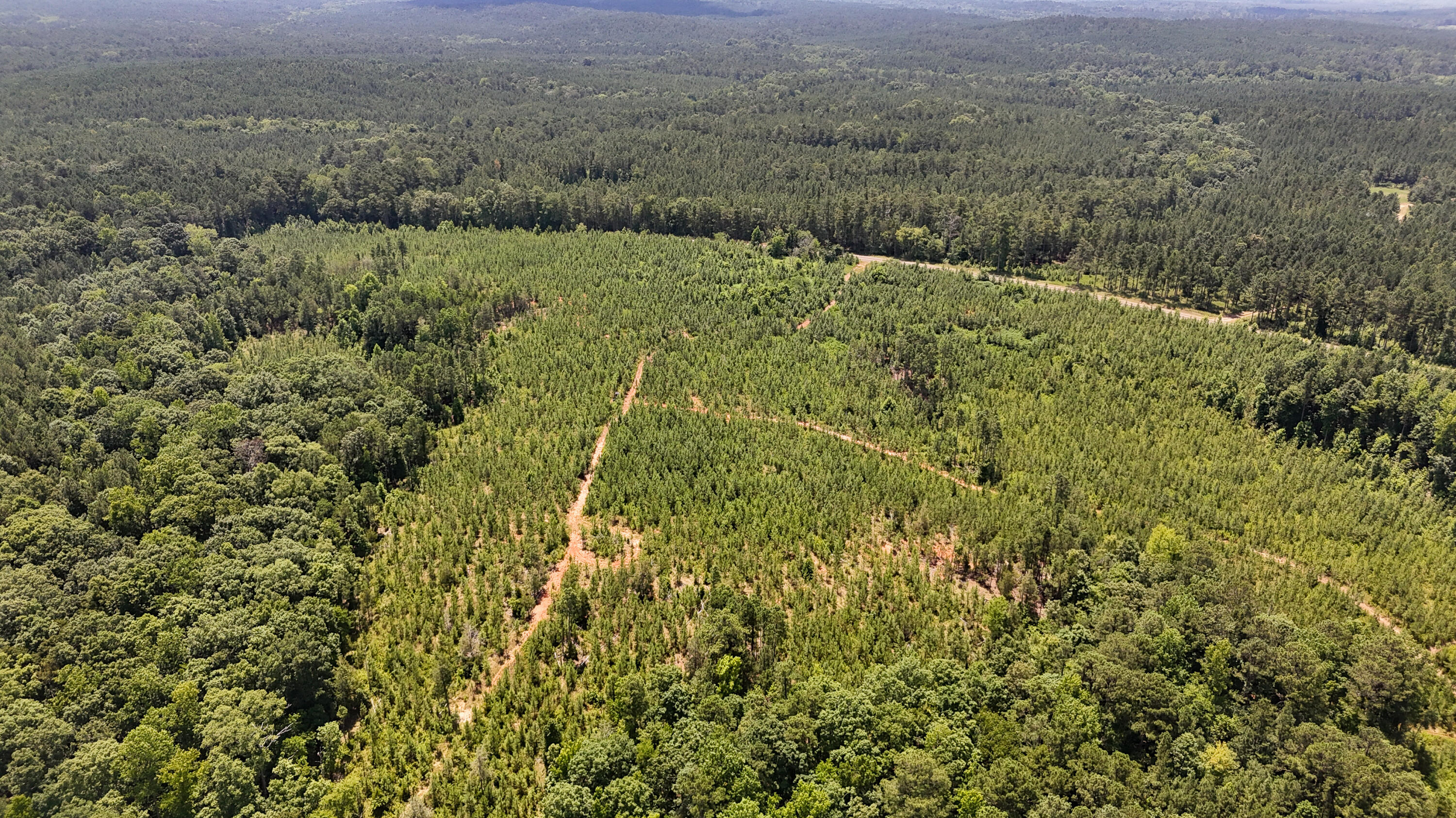 0 Buckhead Road Blair, SC 29015 - Photo 24 of 29 Compass South Land Sales Buckhead Road-2