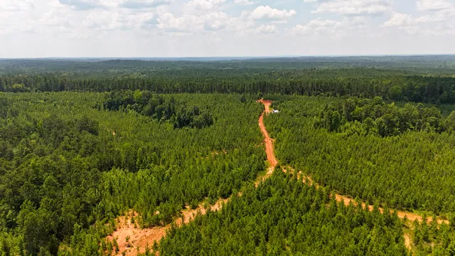 $849,150 | 0 Buckhead Road, Blair, SC 29015