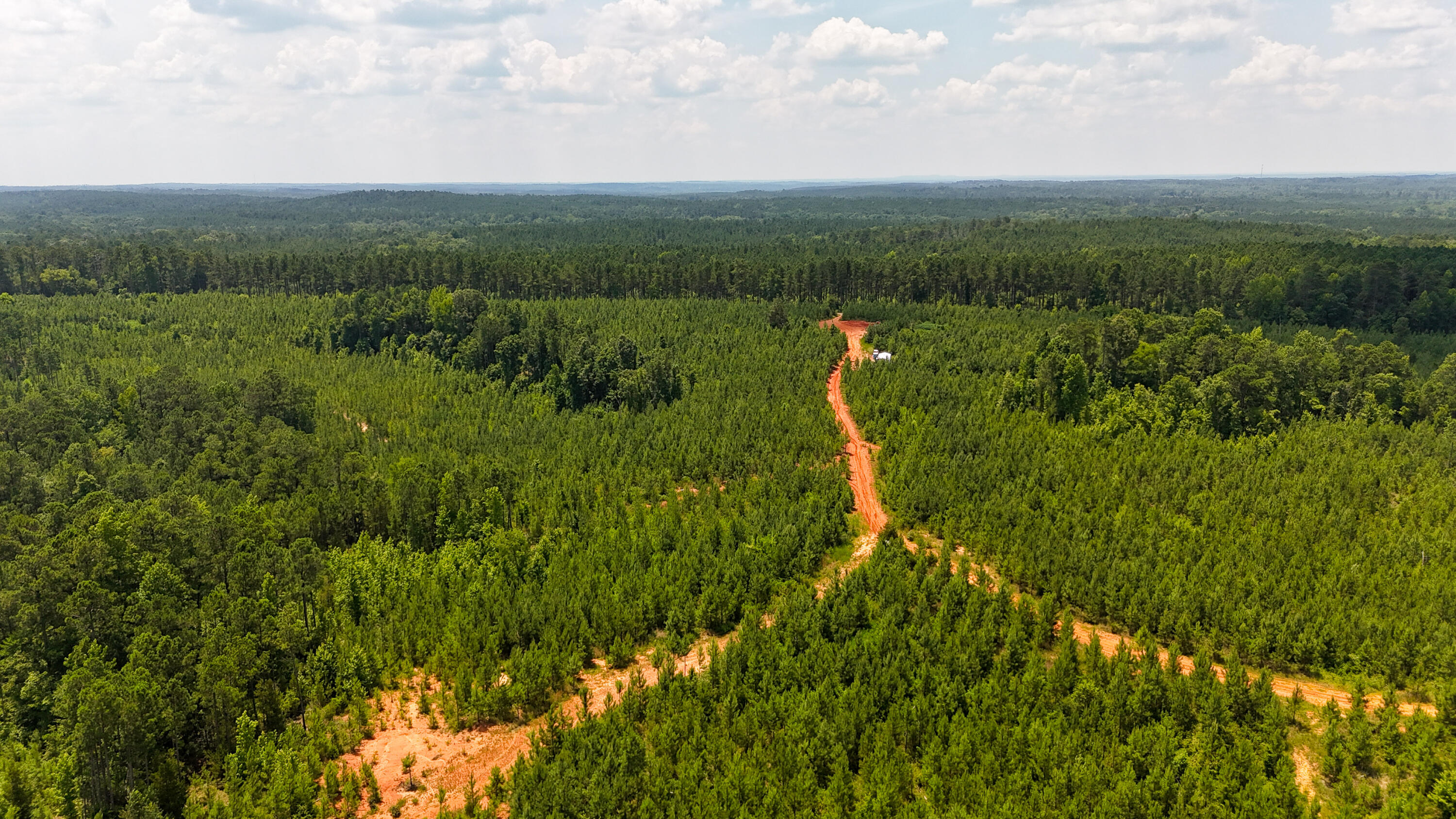 0 Buckhead Road Blair, SC 29015 - Photo 26 of 29 Compass South Land Sales Buckhead Road-2