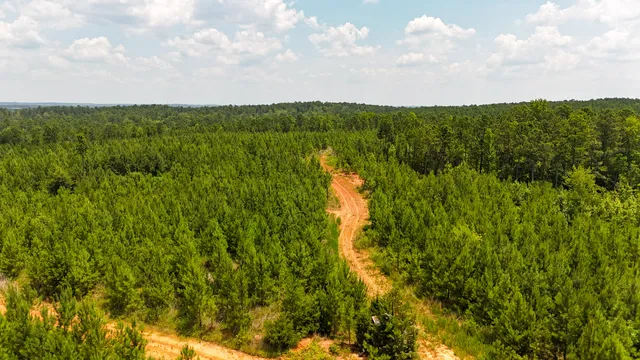 $849,150 | 0 Buckhead Road, Blair, SC 29015