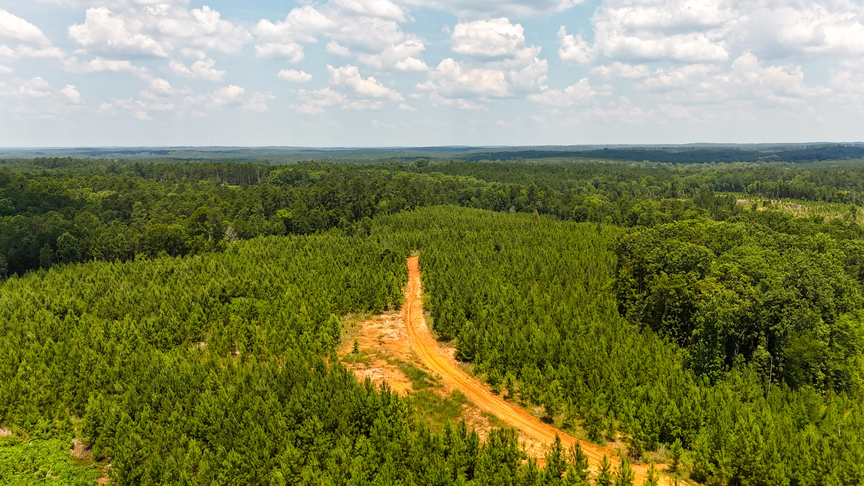 0 Buckhead Road Blair, SC 29015 - Photo 28 of 29 Compass South Land Sales Buckhead Road-2