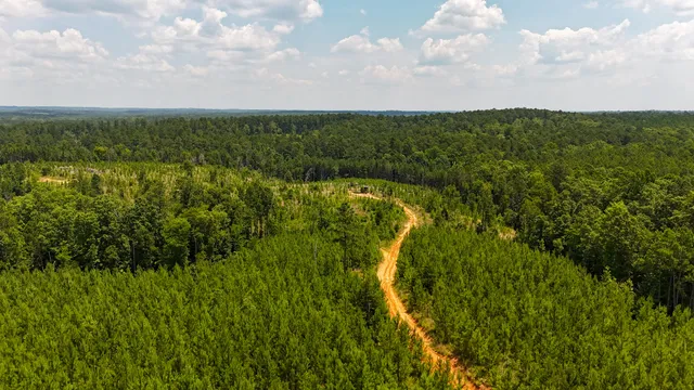 $849,150 | 0 Buckhead Road, Blair, SC 29015