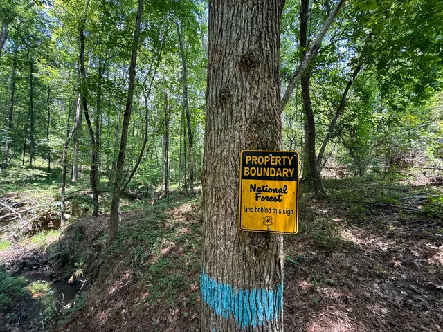 $849,150 | 0 Buckhead Road, Blair, SC 29015