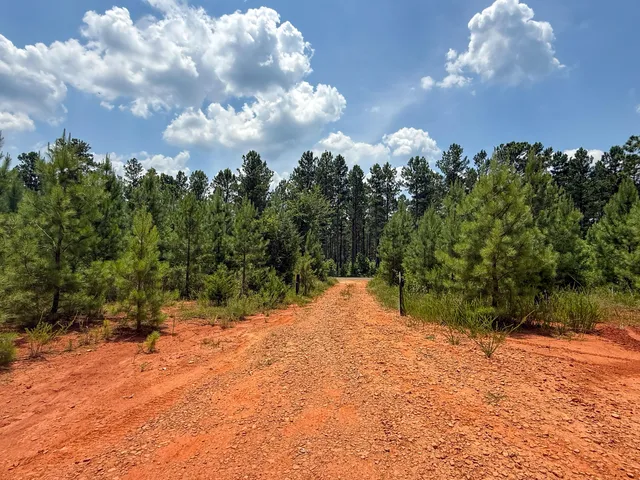 $849,150 | 0 Buckhead Road, Blair, SC 29015