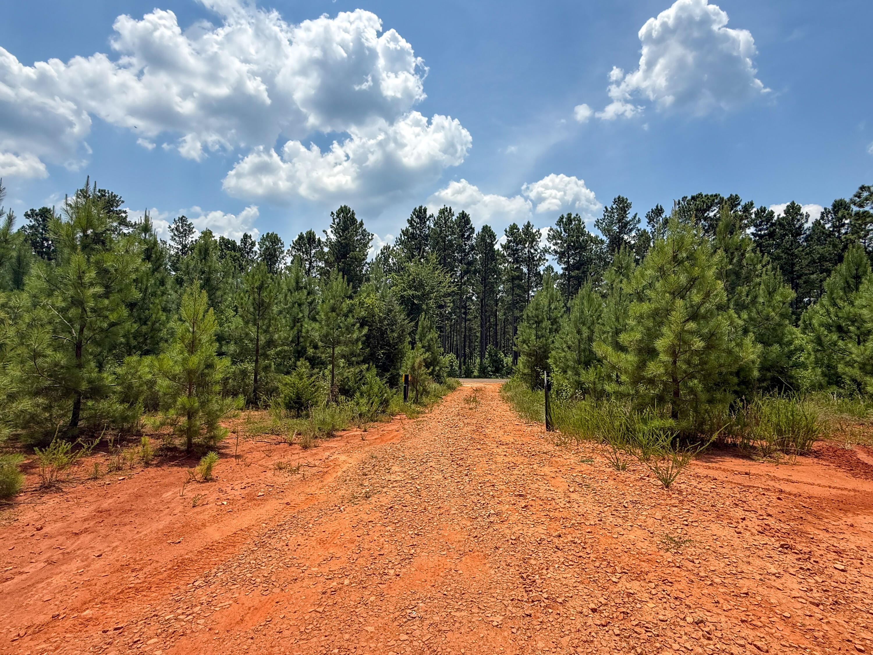 0 Buckhead Road Blair, SC 29015 - Photo 5 of 29 Compass South Land Sales Buckhead Road-0