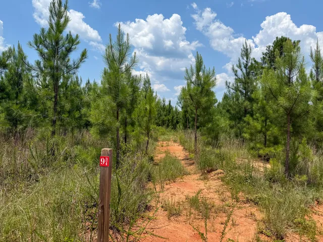 $849,150 | 0 Buckhead Road, Blair, SC 29015