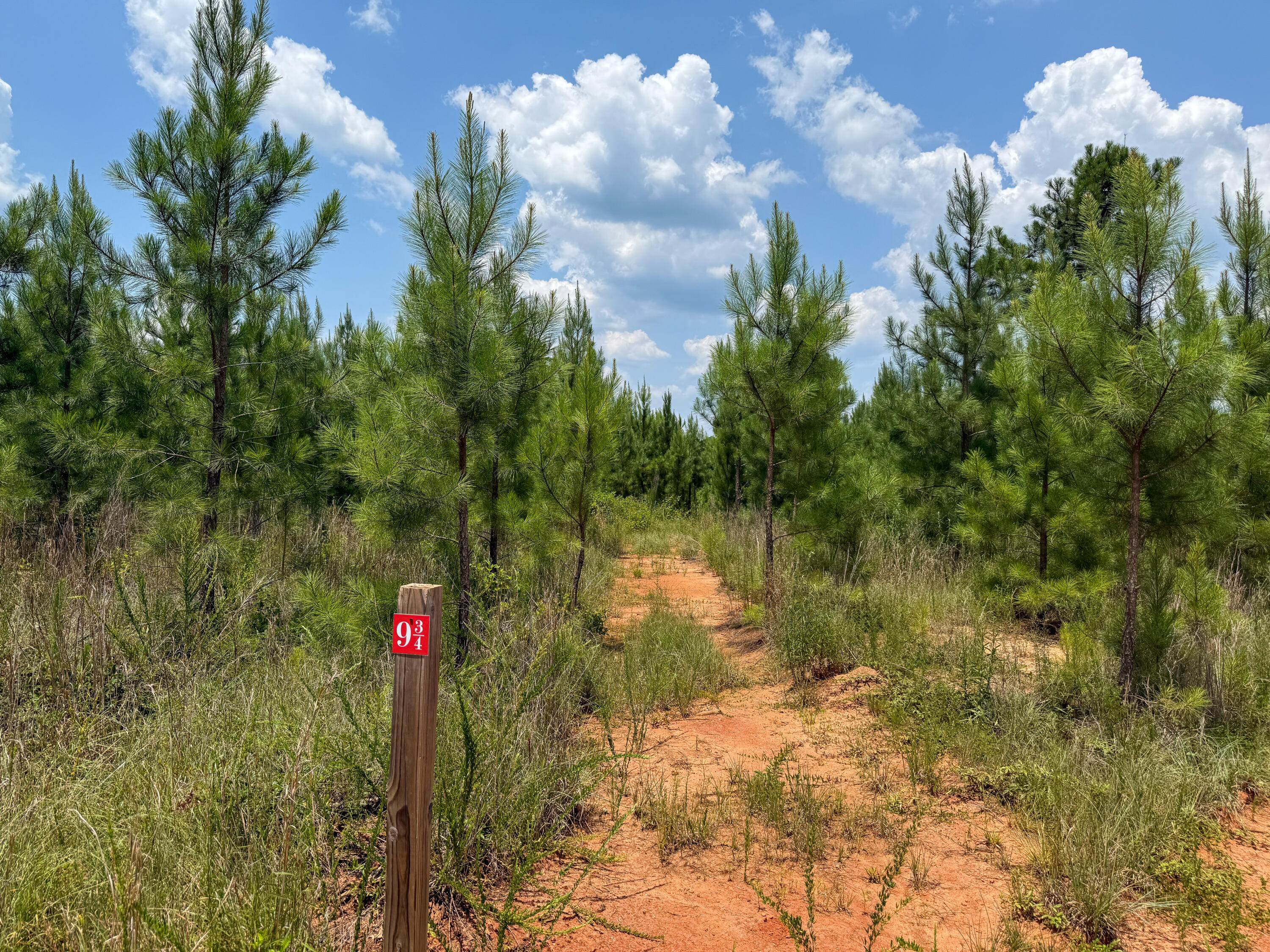 0 Buckhead Road Blair, SC 29015 - Photo 7 of 29 Compass South Land Sales Buckhead Road-0