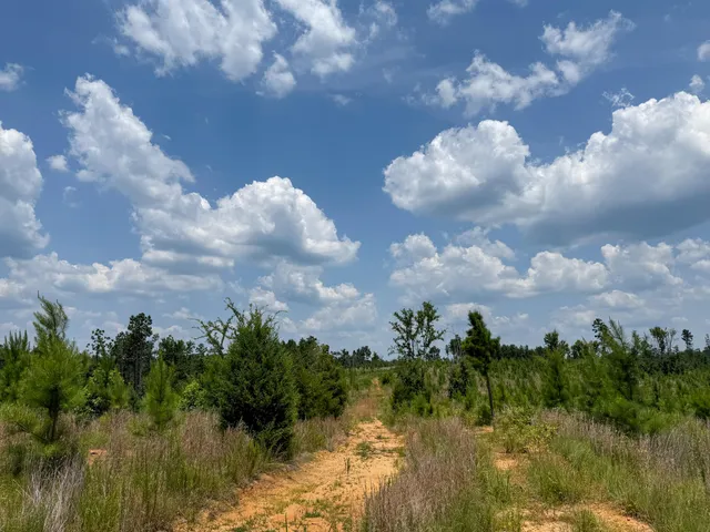 $849,150 | 0 Buckhead Road, Blair, SC 29015