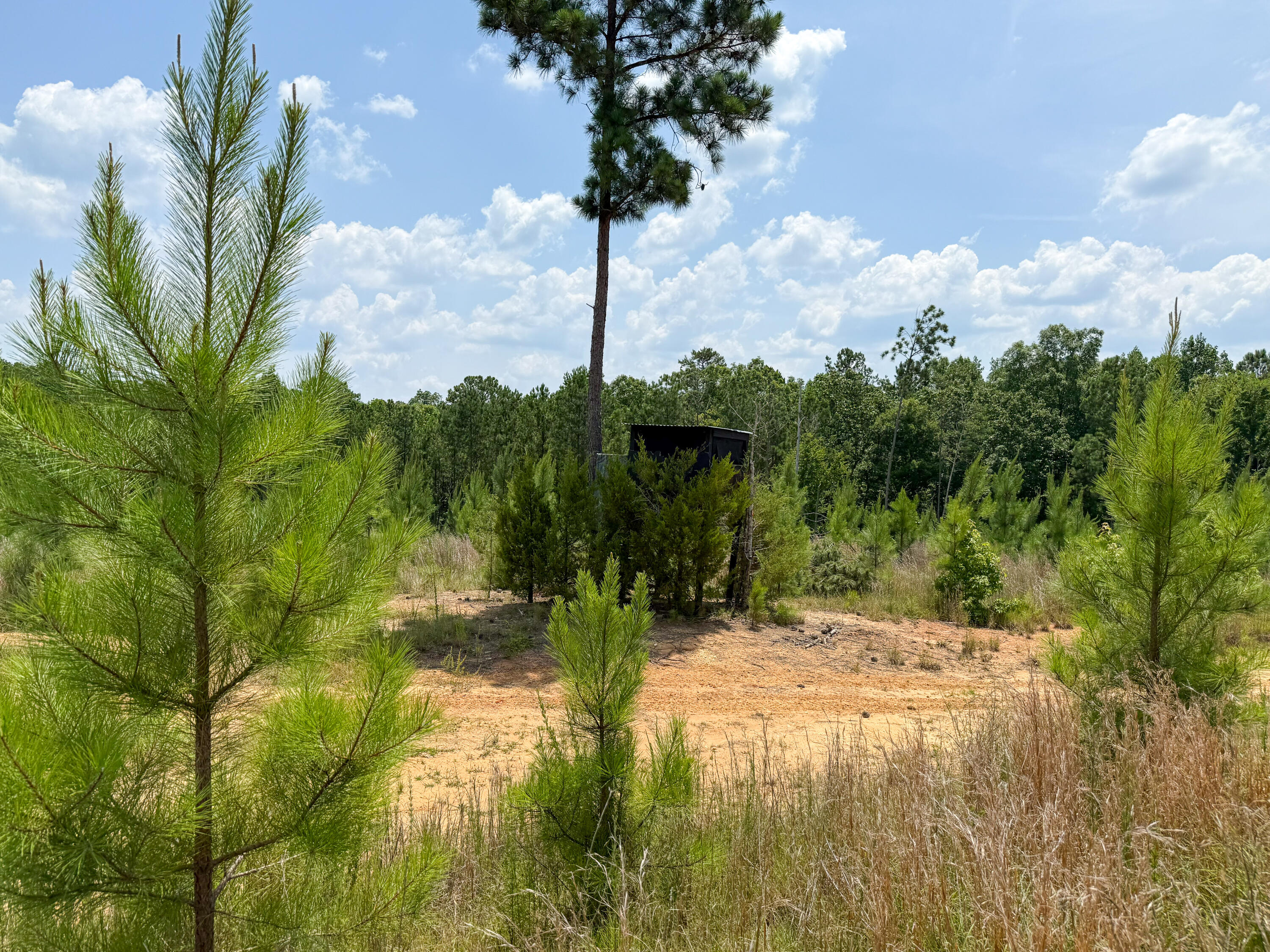 0 Buckhead Road Blair, SC 29015 - Photo 9 of 29 Compass South Land Sales Buckhead Road-0