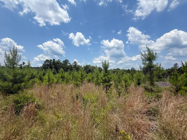 $849,150 | 0 Buckhead Road, Blair, SC 29015