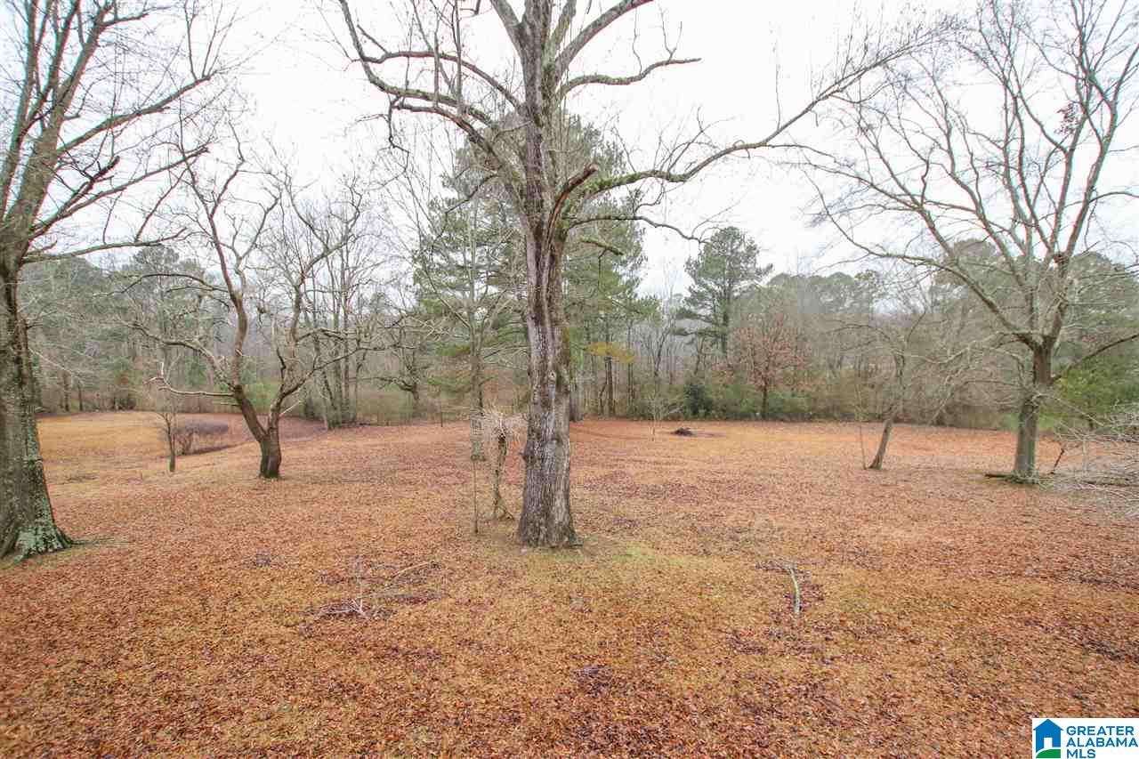 1014 Bryan Road Sumiton, AL 35148 - Photo 47 of 47 Gallery Image 47