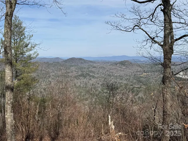 a view of mountain view with lots of trees